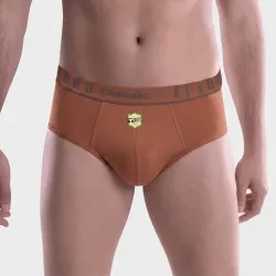 Brief
